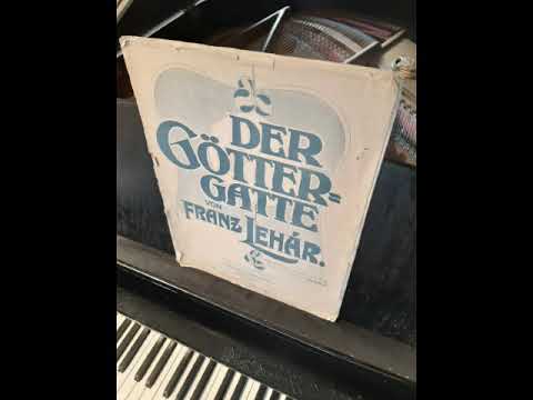 Franz Lehár    Der Göttergatte     1. Potpourri für Klavier