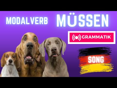 Das Modalverb MÜSSEN SONG | German modal verb MUST with lyrics
