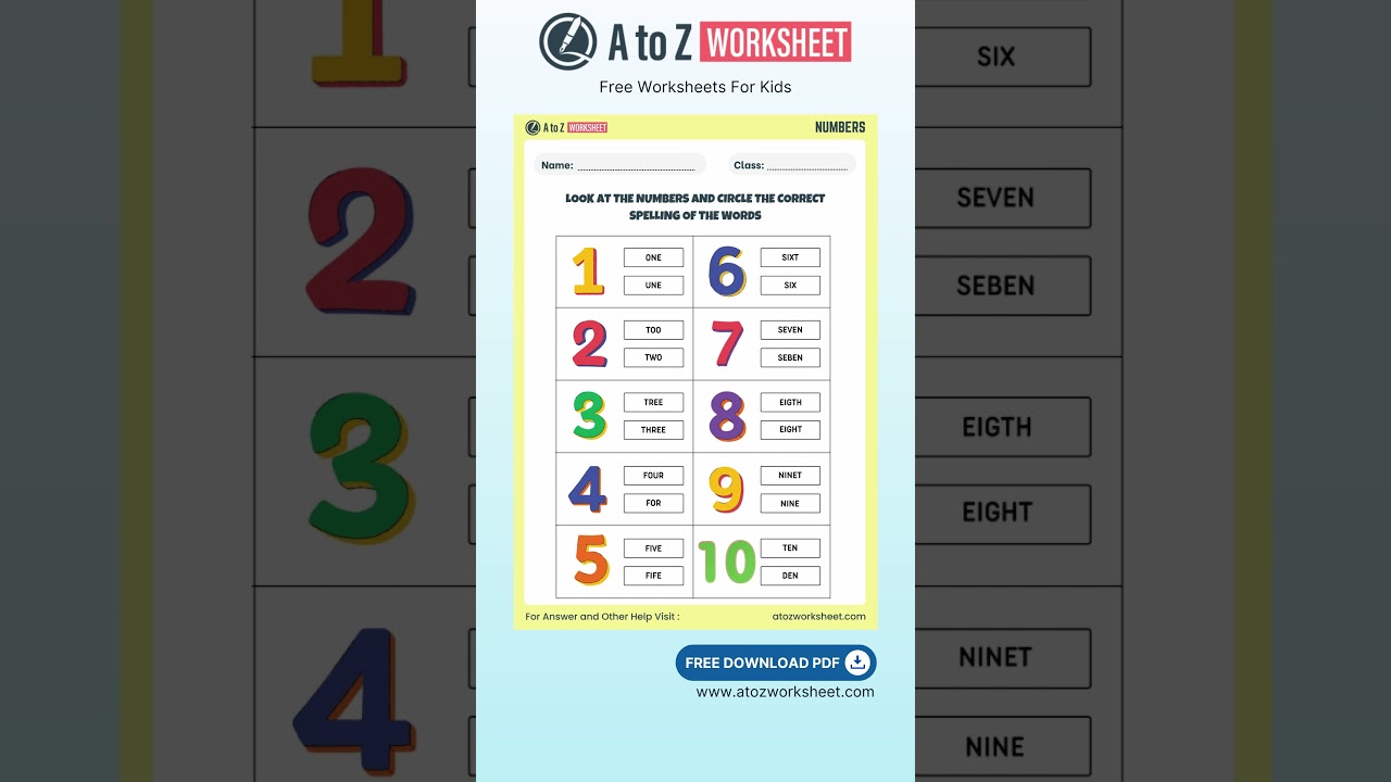 Write Correct Spelling of Numbers Worksheet for Kids – Free PDF