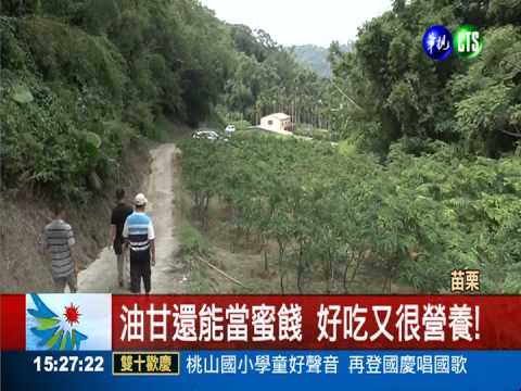 食安風暴吃不安心 油甘意外翻紅!