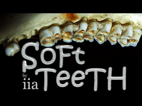 Soft Teeth, by iia | horror | Narrated by Martin Yates