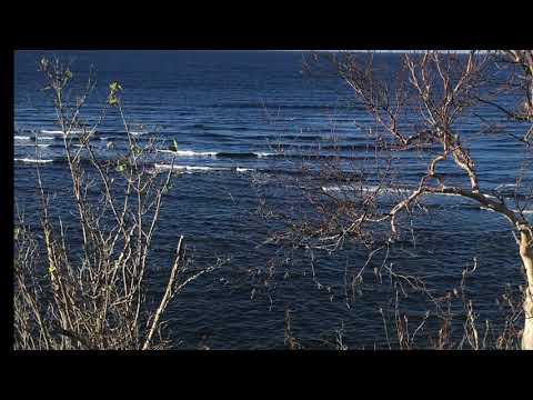 Meelis Punder ja Karavan - Tagasitulija