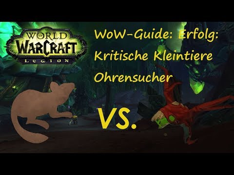 WoW-Guide: Erfolg: Kritische Kleintiere - Ohrensucher