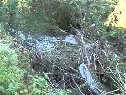 BORGOMARO: DISAGI NELLE CAMPAGNE