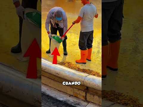 Por Qué Pasó La Tarjeta En La Fuente? 😱
