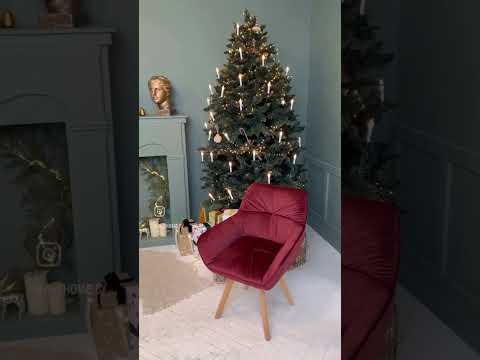 Youtube-видео 