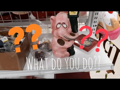 What Do You Do?? - Shop Along With Me - Goodwill Thrift Store
