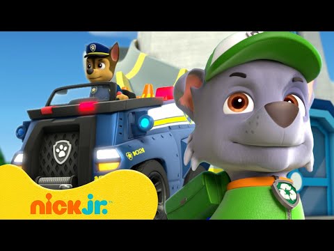 PAW Patrol Calls to the Lookout! 📞 10 Minute Compilation | Nick Jr.