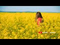 Poovasam Purapadum Whatsapp Status