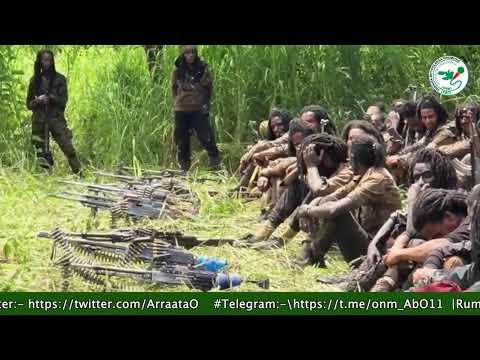 Gabaasa Tarkaanfii ONM-ABO Sadaasa 25-2025 itti dhiyaadhaa!