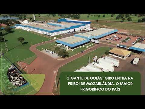 GIGANTE DE GOIÁS: GIRO ENTRA NA FRIBOI DE MOZARLÂNDIA, O MAIOR FRIGORÍFICO DO PAÍS