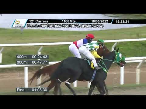 220518 c12 - CAROLAY - HIPODROMO LAS PIEDRAS