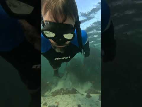 Catching cold, Windmill #mares #snorkeling