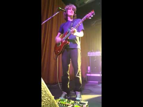 Pigeons playing ping pong