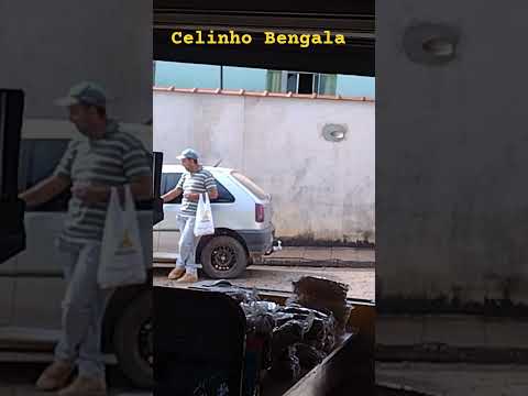 Celinho Bengala da Região da Pedra do Ermo aqui em Coqueiral no Sul de Minas Gerais