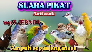 Download lagu PIKAT BURCIL KOMBINASI SOGON RIBUT DAN  RIBUT MP3 ANTI ZONK SUARA JERNIH mp3
