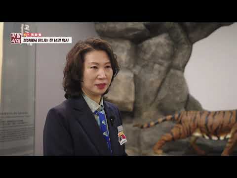 경산에서 만나는 천년의 역사(TBC 지금은 지방시대)