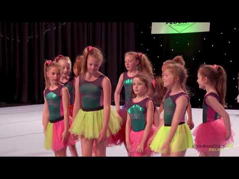 The Floor 2018 Arabian Junior Display Team