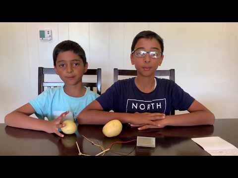 Potato Clock - A Green science experiment