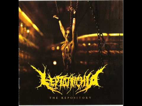 Leptotrichia - The Wicked Land