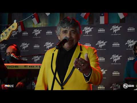 Lo mejor de Los Vikings 5 - Fiestas Patrias 2020