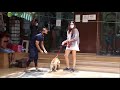 Desi Actress Sonakshi Sehgal In Short Skirt Hot Thighs Sexy Half Naked