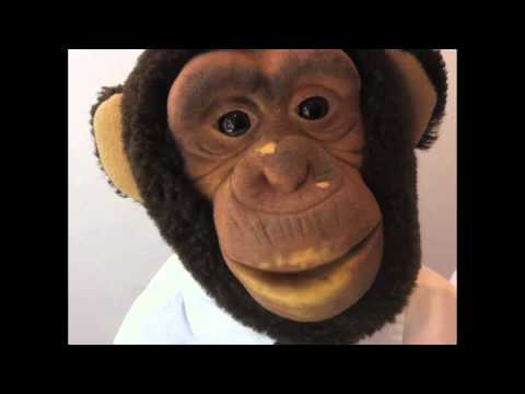 Alejandro Fuentes Bergström & Hultsfred 2011