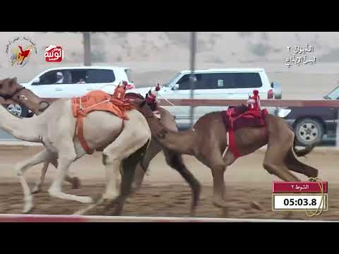  ش 2 (حلوه) لـ سيف مطر خلفان الجابري 8:5 , شارة الديوان 2 2026/09/27 ايذاع اللبسه 