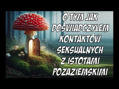 93# Zostałem Ambasadorem Grzybów! Muchomor czerwony - grzyb Amanita muscaria (L.) Lam. - Amanitaceae