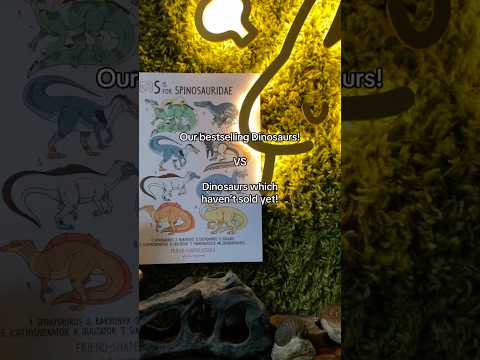 Our bestselling Dinosaurs VS Dinosaurs which haven’t sold yet!