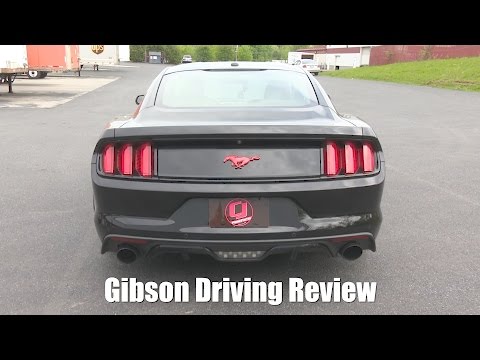 2015-2017 Mustang GT Gibson 3" Cat-Back Exhaust Driving Review