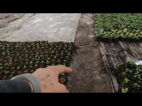 JUANPI - AGAIN ? Ft EzzE por EzzE