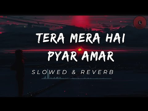Tera Mera Hai Pyar Amar | Ishq Murshid OST | Slowed & Reverb | Best Music | Z Music