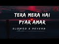 Tera Mera Hai Pyar Amar Ishq Murshid OST Slowed Reverb Best Music Z Music