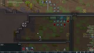 Video 4