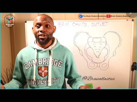 The PELVIC BRIM, CAVITY and OUTLET simplified