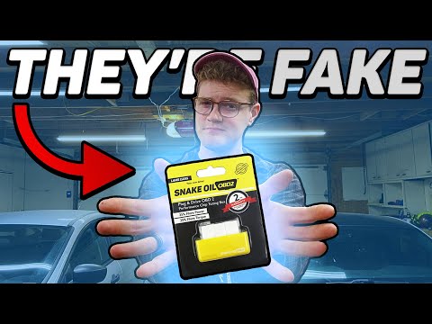 The TRUTH About Performance Chips...