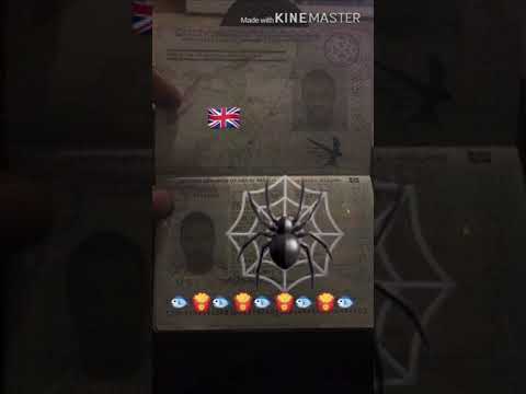 BIG BAD SPRAY - I’M SO BRITISH 🇬🇧