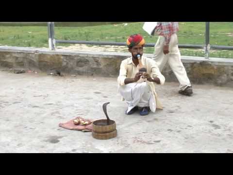 Magic indian snake flute(incantatore di serpenti)