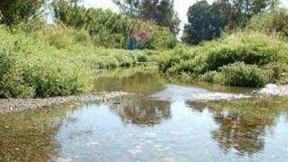 Water - Inspiration for July