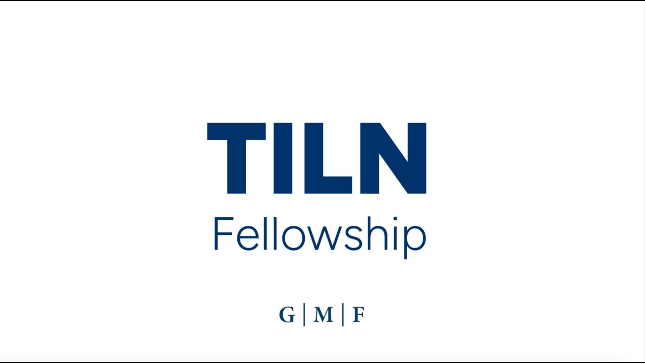 The Transatlantic Inclusion Leaders Network