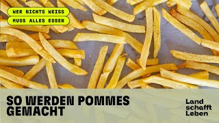 So werden Pommes gemacht!