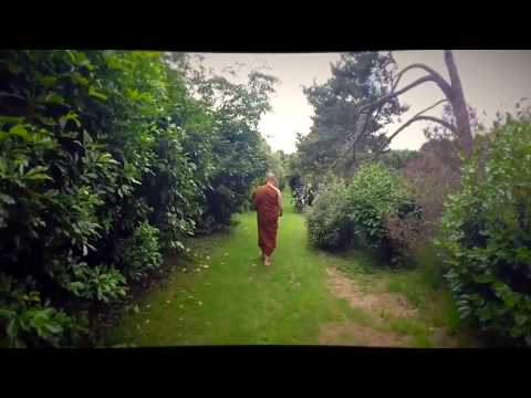 Kanalvorstellung - Wochenorakel - Prophezeiungen