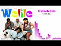 ShaunMusiQ Ftears Tracy Thatohatsi Uvikelekile Official Audio Visualizer