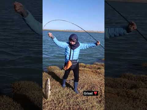 última temporada de robalo en el paso de la isla Puerto San Julián Santa Cruz Argentina ❣️