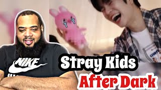 Stray Kids After Dark | REACTION