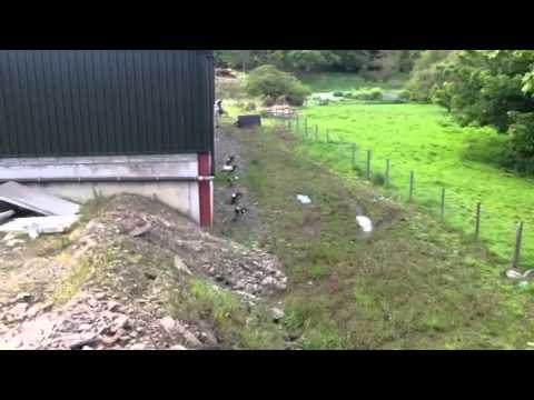 Conor Taggart on a trials bike in Portaferry