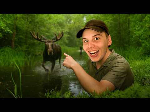 JEG FINDER EN VILD ELG I DANMARK!