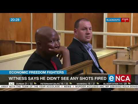 Economic Freedom Fighters Witness says he didn't see any shots fired