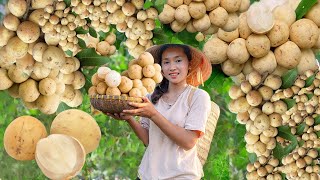 Harvesting BACCAUREA FLOWER & MELON FLOWER...Goes To The Market Sell - Making garden / Cooking